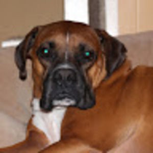 Meet your Posher, Kevin